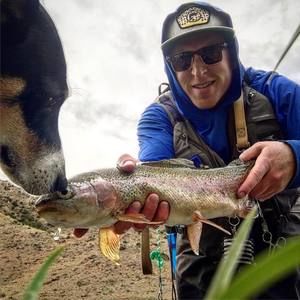 Meet your Posher, Casey